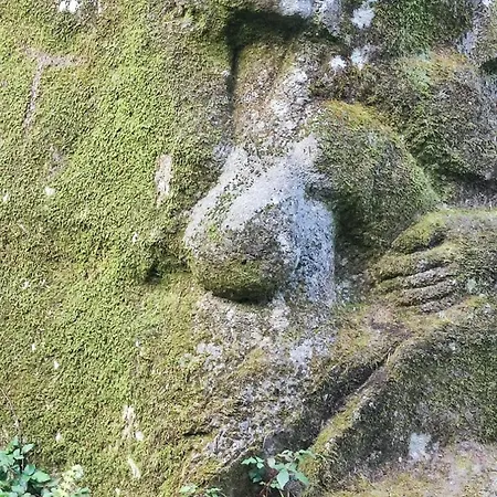 Apartamento Casa Daisy