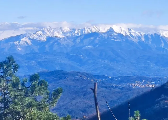 Casa Daisy Διαμέρισμα *