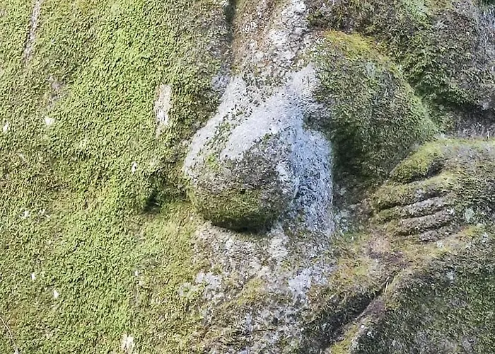 Διαμέρισμα Casa Daisy